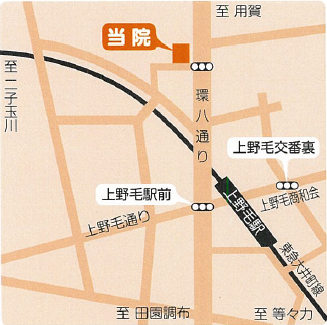 アクセスマップ